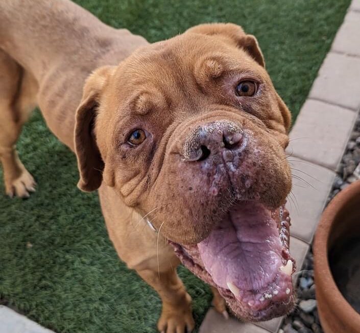 2EFCD0B9-07B7-4A1A-ADC0-F89B21448BAF