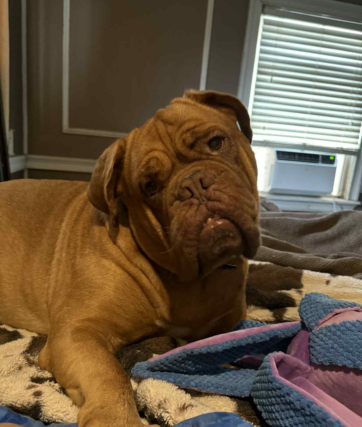 att.wqm-qYRt5ECtWtQnLhnqhg2kHv9GuDLDIDLlAtxEjHw