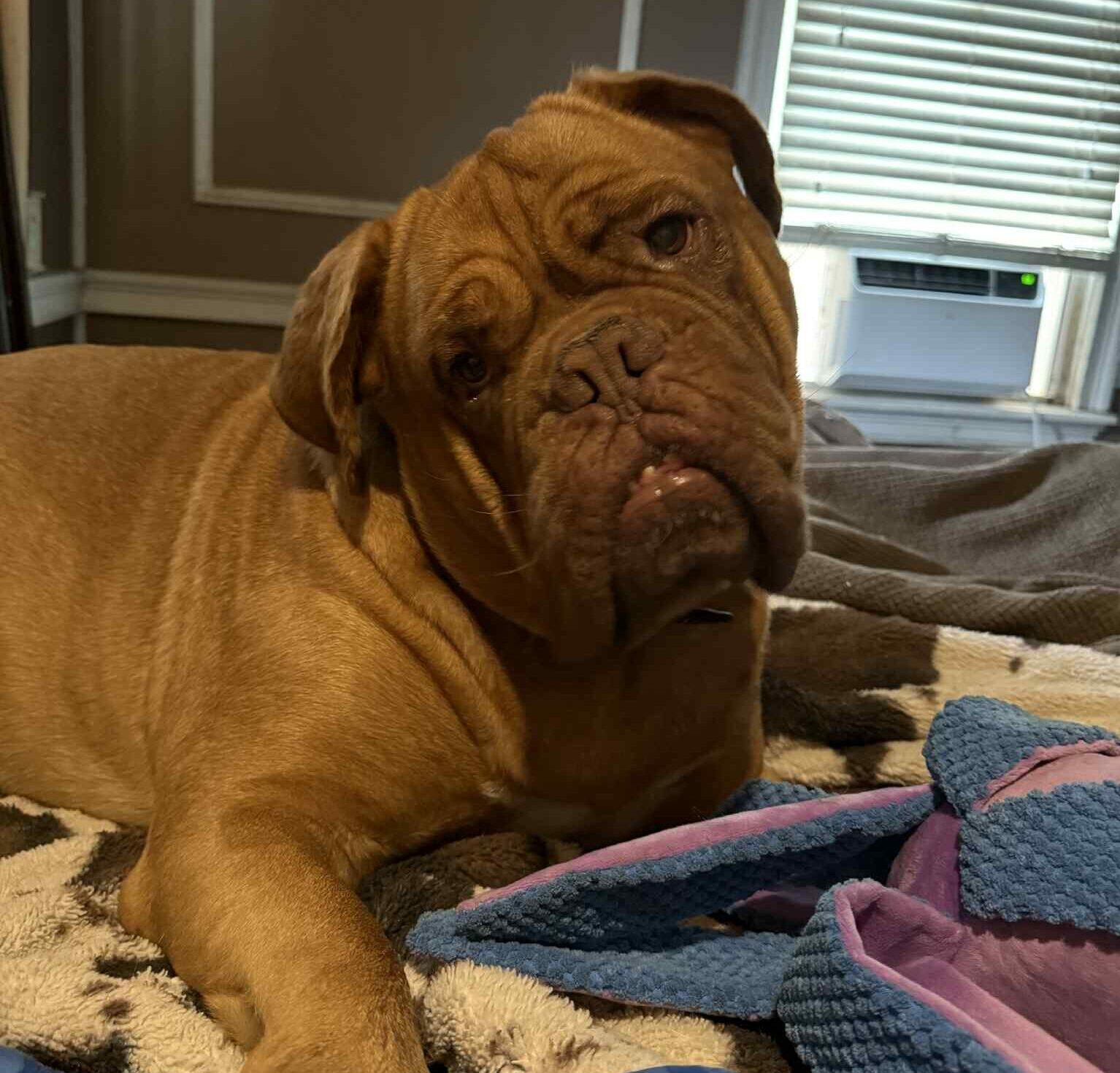 att.wqm-qYRt5ECtWtQnLhnqhg2kHv9GuDLDIDLlAtxEjHw