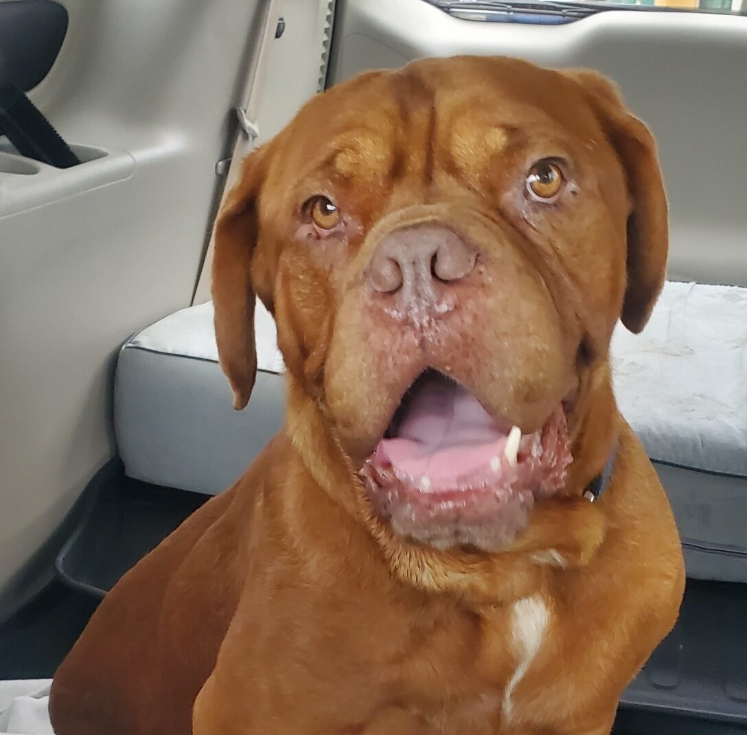 Resized_20251025_111225