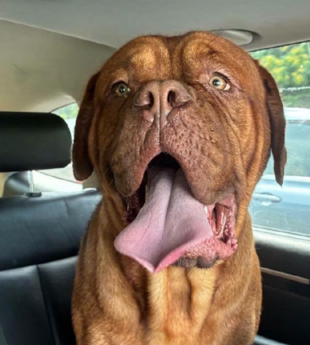 Bentley