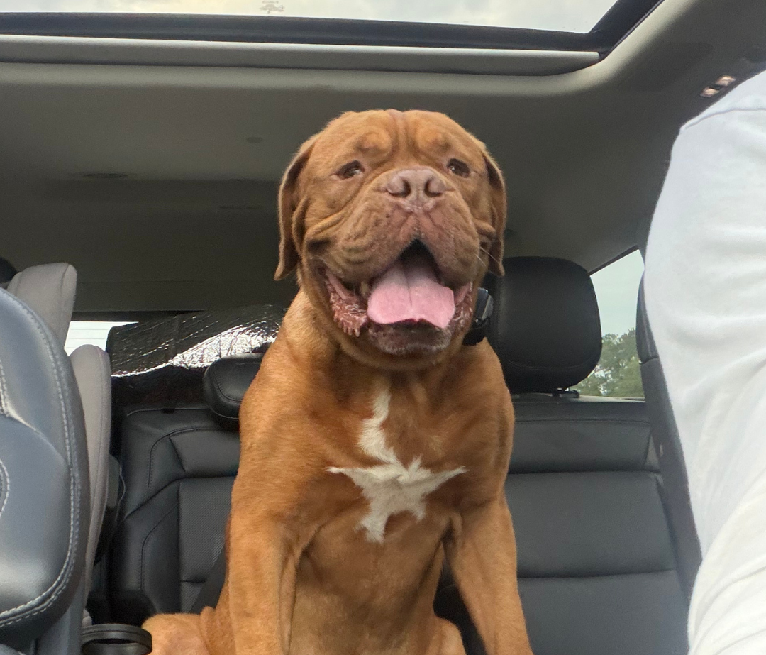 Diego