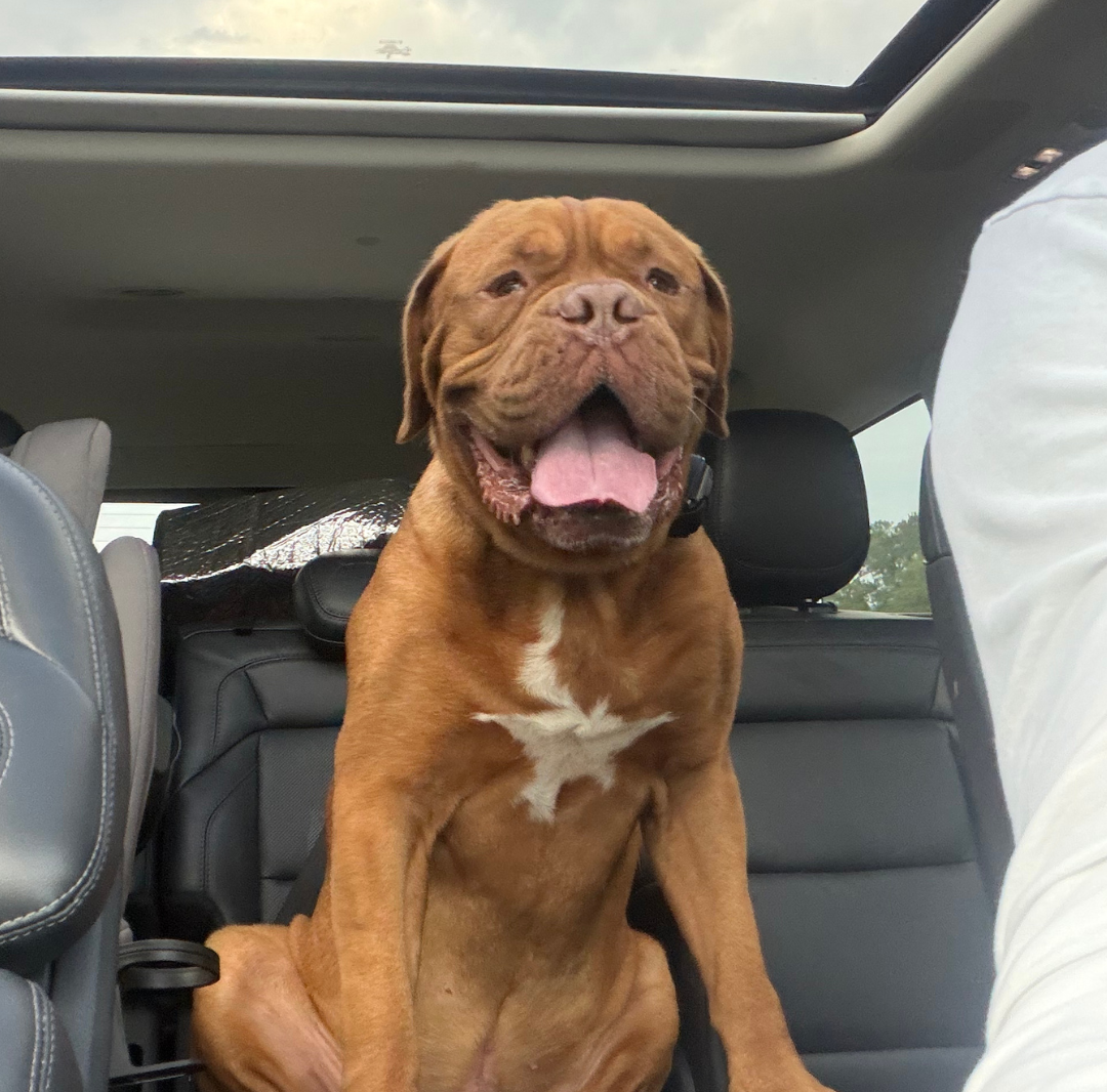 Diego