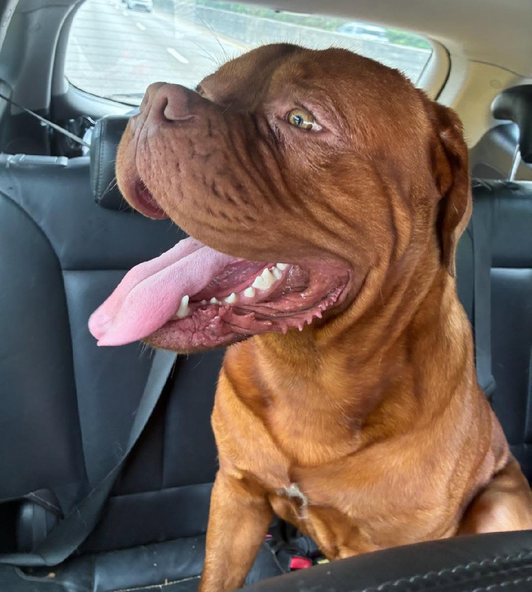 Otis